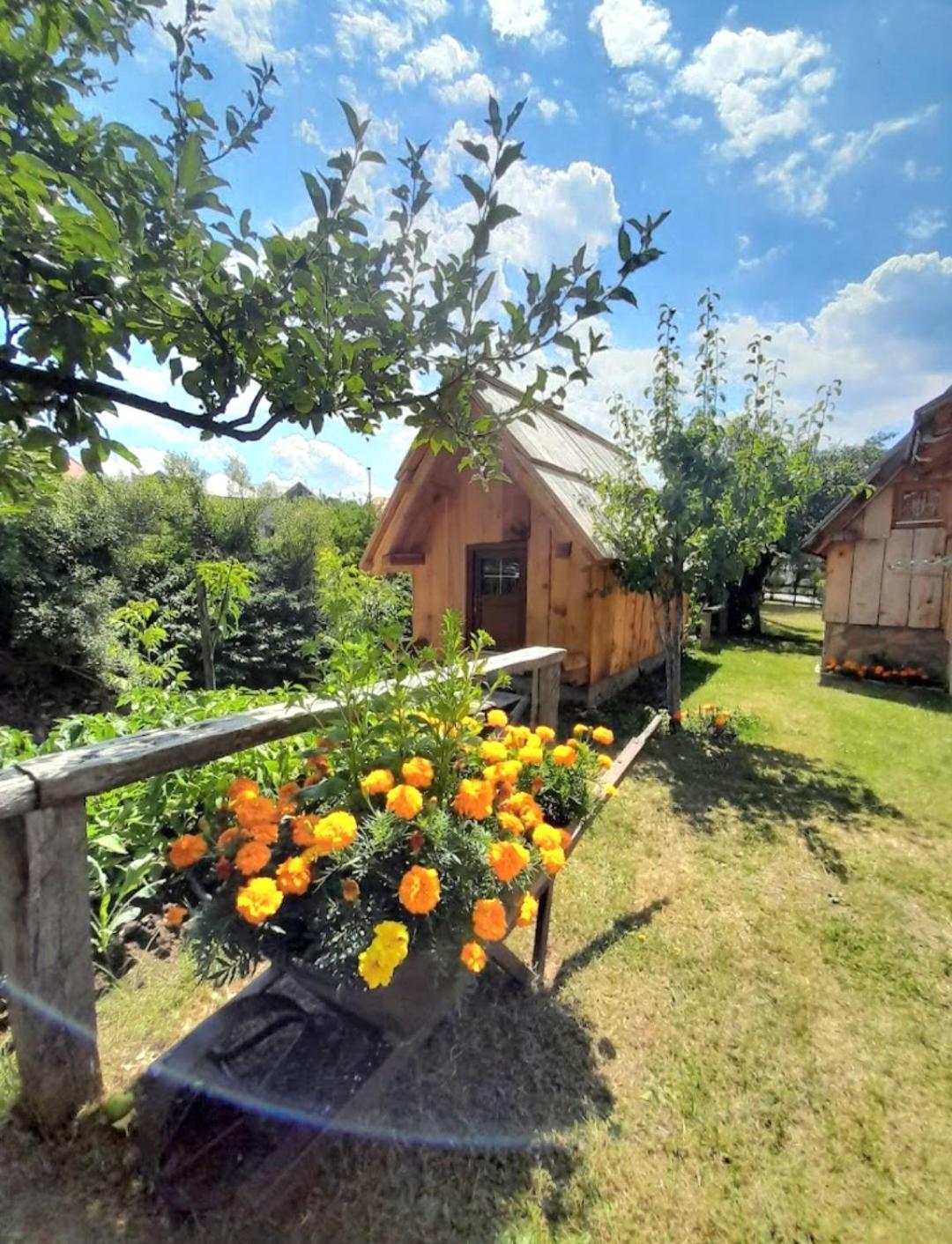 Etno Smjestaj Bjelasica Chalet Kolasin